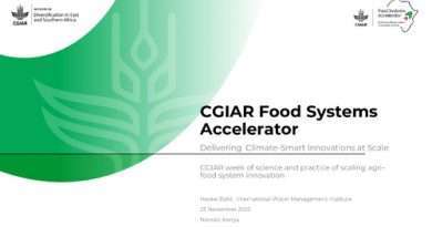CGIAR Food Systems Accelerator