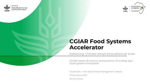 CGIAR Food Systems Accelerator