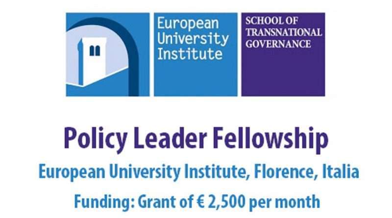 European University Institute (EUI) STG Policy Leader Fellowship