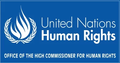 Office of the High Commissioner for Human Rights (UN OHCHR) Minorities Fellowship Programme
