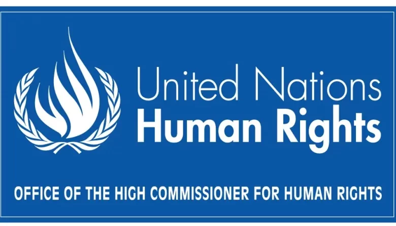 Office of the High Commissioner for Human Rights (UN OHCHR) Minorities Fellowship Programme