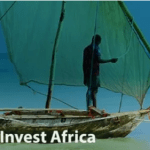 Blueinvest Africa