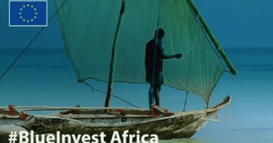Blueinvest Africa