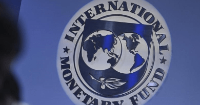 IMF internship program
