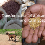 Structural Transformation of African Agriculture and Rural Spaces (STAARS) fellowship program