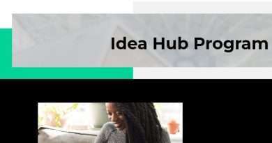 Lagos Innovates Idea Hub Program