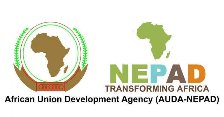 AUDA-NEPAD Young Professionals Programme