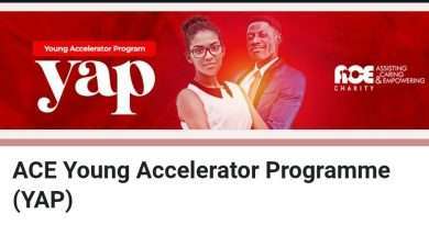 ACE Young Accelerator Programme
