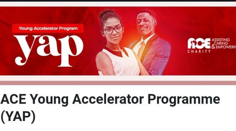 ACE Young Accelerator Programme