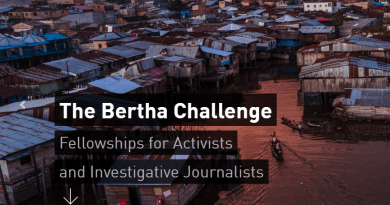 Bertha Challenge Fellowship