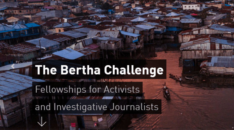 Bertha Challenge Fellowship