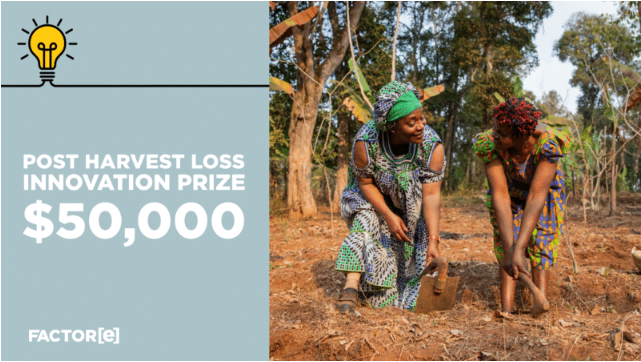 Entries for the $50,000 Post-Harvest Loss Innovation Prize now open