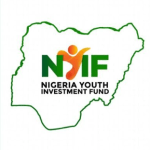 Nigeria youth investment fund - NYIF