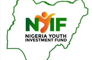 Nigeria youth investment fund - NYIF