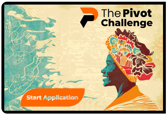 The Pivot Challenge for early stage organizations in southeastern Nigeria