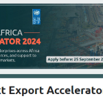 YouthConnekt Export Accelerator Program