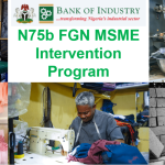 N75 billion FGN MSME Intervention program